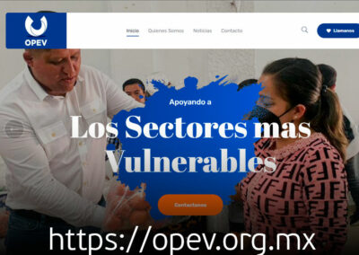 diseño web de OPEV mexico
