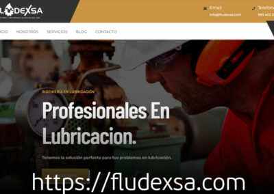 diseño web fludexsa mexico